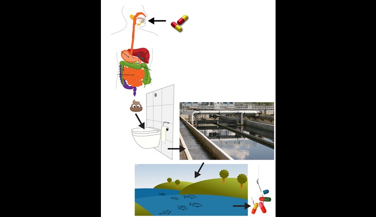 De la prise de médicament à la pollution des eaux de surface. (c) plateforme Qualité de l’eau du VSA