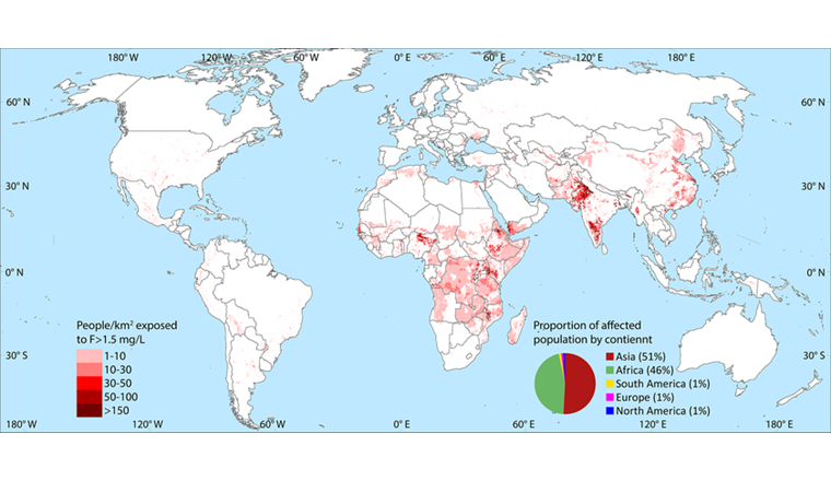 Zu hohe Fluoridkonzentrationen sind nur dort eine Gefahr, wo Menschen unbehandeltes Trinkwasser von Brunnen und Grundwasserpumpen beziehen. So ist in Australien fast niemand gefährdet, obwohl die Fluoridwerte im Grundwasser vielerorts über dem Grenzwert liegen. In Afrika und Asien hingegen sind insgesamt über 170 Millionen Menschen betroffen. Eine interaktive Version der Karte ist auf der GIS-Plattform verfügbar. (Bild: ©gapmaps.org)