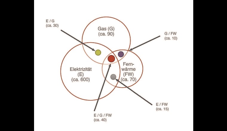 Fig. 1 Anzahl der Versorgungsnetze in der Schweiz (grosse Kreise) und Anzahl der Versorgungsnetzbetreibenden (farbige Kreise), aufgelöst nach Art der von ihnen bewirtschafteten Netze.
