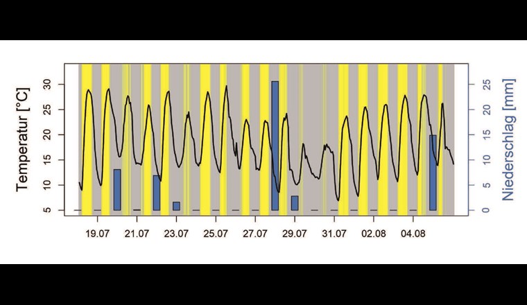 Fig. 2 Meteorologische Bedingungen während dem Mova mit Lufttemperatur (schwarz), Summe der täglichen Niederschlagsmenge (blau) und 
Sonnenschein (gelb/grau).