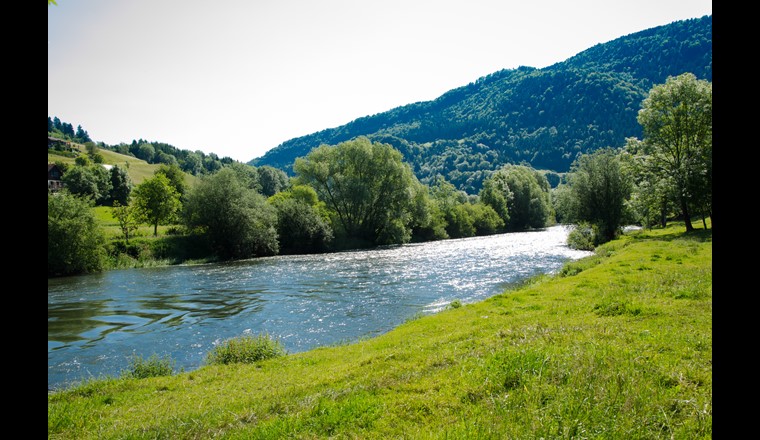 Effetti positivi del regolamento sulle acque del tratto franco-svizzero del Doubs. (Immagine: ©adobestock)