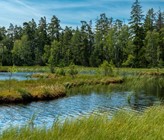 Vier von fünf Gewässern überschreiten Grenzwerte für Pflanzenschutzmittel – trotz Zulassungsprüfung und Umweltauflagen. (Bild: ©adobestock)