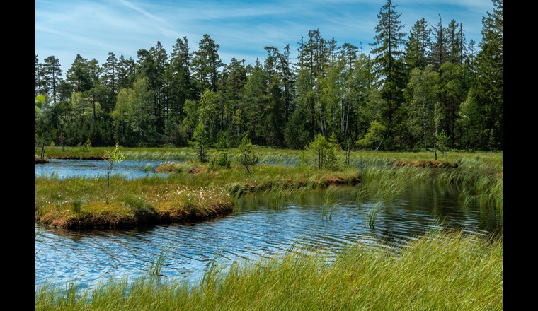 Quatre cours d'eau sur cinq dépassent les valeurs limites pour les produits phytosanitaires - malgré les tests d'autorisation et les exigences environnementales. (Image : ©adobestock)