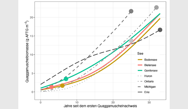 Biomasse calculée des moules quagga par mètre carré sur une période de 33 ans depuis la première détection. Les points représentent l'état en 2022 (graphique : ©Kraemer et al., 2023, révisé).