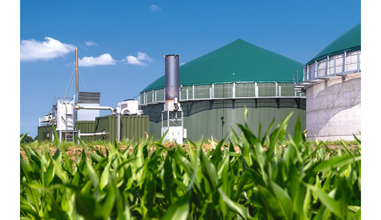 Im Jahr 2022 wurden in Europa 254 neue Biogasanlagen in Betrieb genommen. Damit erhöhte sich die Zahl der Biogasanlagen gemäss EBA-Statistikbericht auf mehr als 1300. In der Schweiz werden keine Energiepflanzen in Biogasanlagen eingesetzt, in anderen europäischen Ländern hingegen schon. (© Adobe Stock)