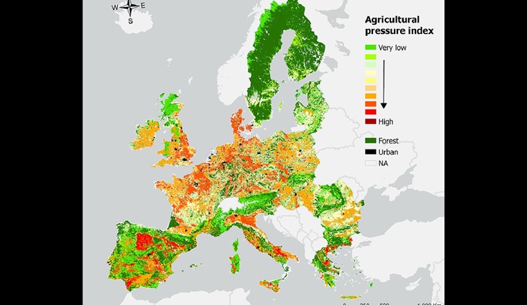 Die Art der Landwirtschaft ist mit entscheidend für den Zustand der Gewässer. (© Schürings, Ch. et al. /Universität Duisburg Essen)