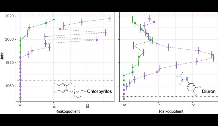 Fig. 5 Berechnete Risikoquotienten für Chlorpyrifos und Diuron im Sediment von Wohlensee (lila, ungefüllt) und Moossee (grün, gefüllt), basierend auf den vom Oekotoxzentrum vorgeschlagenen Umweltqualitätskriterien.