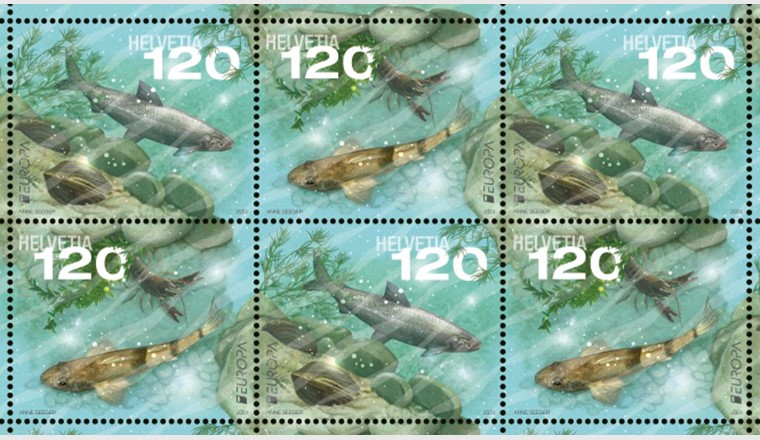 Die beiden neuen, ab Mai erhältlichen Briefmarken der Post zeigen bedrohte einheimische Arten aus dem Thunersee und dem Doubs. Ein Glanzlack sorgt für Wassereffekt. Gestaltet wurden die Sondermarken von Anne Seeger. (© Post CH Netz AG)