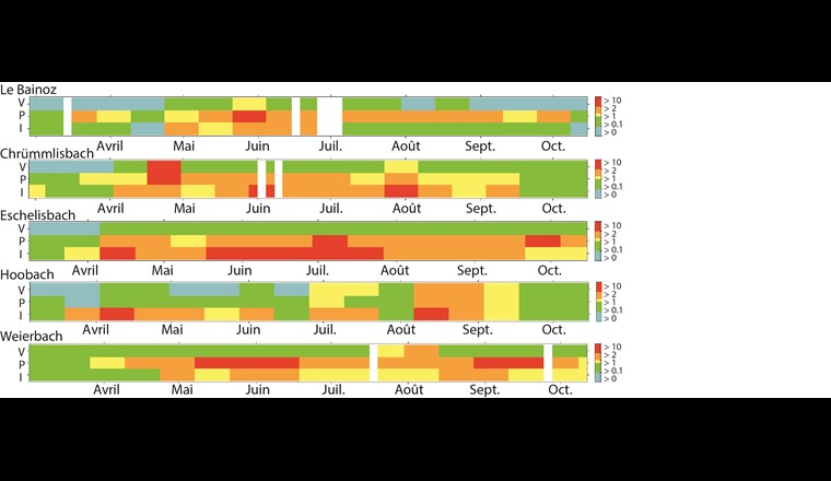 Fig. 5 Chronische Mischungsrisikoquotienten (CRQmix) für das zeitgewichtete Mittel der gemessenen Konzentrationen (14-Tages-Mischproben) an den NAWA-SPEZ-2017-Probenahmestellen. Auf der y-Achse sind die Organismengruppen dargestellt: V: Vertebraten (Fische); P: Pflanzen; I: Invertebraten. Weisse Abschnitte bedeuten, dass keine Proben genommen werden konnten. Die Farben zeigen die Höhe des RQ für die jeweilige Organismengruppe und Zeitraum an. Blau: RQ < 0,1; grün: RQ: 0,1–1; gelb: RQ 1–2; orange: RQ 2–10; rot: RQ > 10.
