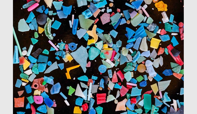 La microplastiques se trouve dans toutes sortes de couleurs et de formes. (Image: B. Nowack / Empa)