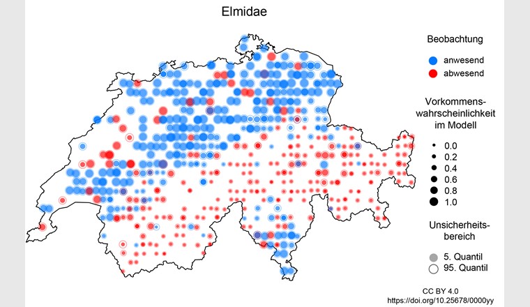 Vorkommen der Käferfamilie Elmidae in der Schweiz in den Biodiversitätsmonitoringdaten und im Modell, grosse blaue Punkte und kleine rote Punkte zeigen eine gute Übereinstimmung zwischen Beobachtung und Modell. (Grafik: Eawag)