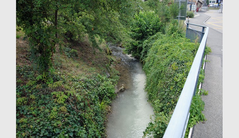 Im vergangenen Jahr kam es im Kanton Luzern zu 88 Fällen von Gewässerverschmutzung. (Foto: Polizei Luzern)