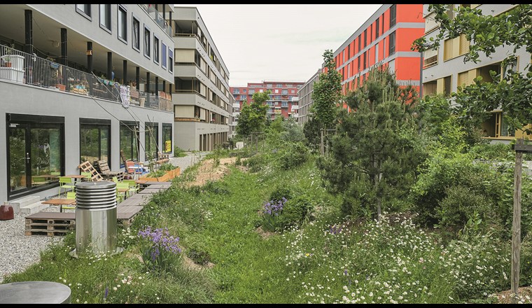 Fig. 5 Eine grüne Gasse im Quartier Les Vergers in Meyrin GE. (© Kanton Genf, Théo Gardiol)