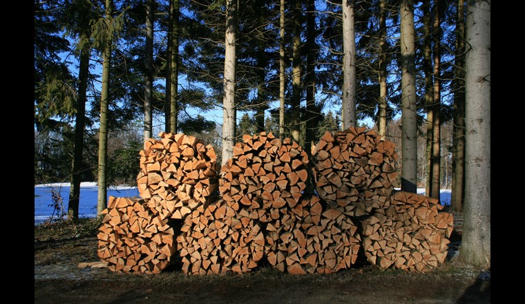 Fig. 5 Une pile de rondins de bois. (Photo: Energie-bois Suisse)