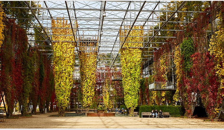 Le parc MFO à Zurich-Oerlikon est une parfaite démonstration de la manière dont la végétalisation des structures existantes peut façonner et rafraîchir l'espace urbain pour le plus grand bien des habitants et de la nature. (Photo: Eawag, Max Maurer)