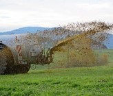 Bisher wurden im Rahmen der Massnahmen in der Landwirtschaft nach Art. 62a GschG nur Nitratprojekte finanziert und umgesetzt. Neu sollen auch Projekte zur Reduktion der Pflanzenschutzmittel- und Phosphoreinträge realisiert werden. (Bild: 123rf.com/alfredhofer)