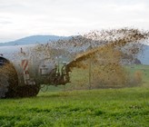 Bisher wurden im Rahmen der Massnahmen in der Landwirtschaft nach Art. 62a GschG im Bereich Grundwasser nur Nitratprojekte finanziert und umgesetzt. Neu sollen auch Projekte zur Reduktion der Pflanzenschutzmittel- und Phosphoreinträge realisiert werden. (Bild: 123rf.com/alfredhofer) Bisher wurden im Rahmen der Massnahmen in der Landwirtschaft nach Art. 62a GschG im Bereich Grundwasser nur Nitratprojekte finanziert und umgesetzt. Neu sollen auch Projekte zur Reduktion der Pflanzenschutzmittel- und Phosphoreinträge realisiert werden. (Bild: 123rf.com/alfredhofer)