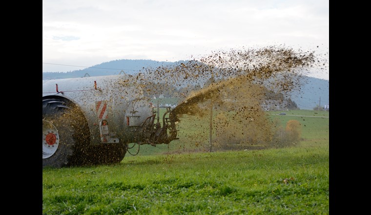 Jusqu’à présent, les mesures prises par l’agriculture selon l’art. 62a LEaux ont seulement servi à financer et mettre en œuvre des projets concernant le nitrate. Désormais, elles doivent aussi inclure des projets de réduction des apports en produits phytosanitaires et en phosphore. 
(© 123rf.com/alfredhofer)