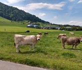 Solange der Viehbestand in der Schweiz nicht sinkt, sind Mist und Gülle Energielieferanten. Eine Vergärungsanlage in Malters, Kanton Luzern. (Foto: Florian Rüsch, ZHAW)