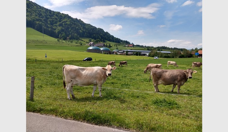 Solange der Viehbestand in der Schweiz nicht sinkt, sind Mist und Gülle Energielieferanten. Eine Vergärungsanlage in Malters, Kanton Luzern. (Foto: Florian Rüsch, ZHAW)