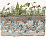 worldwaterday.org worldwaterday.org