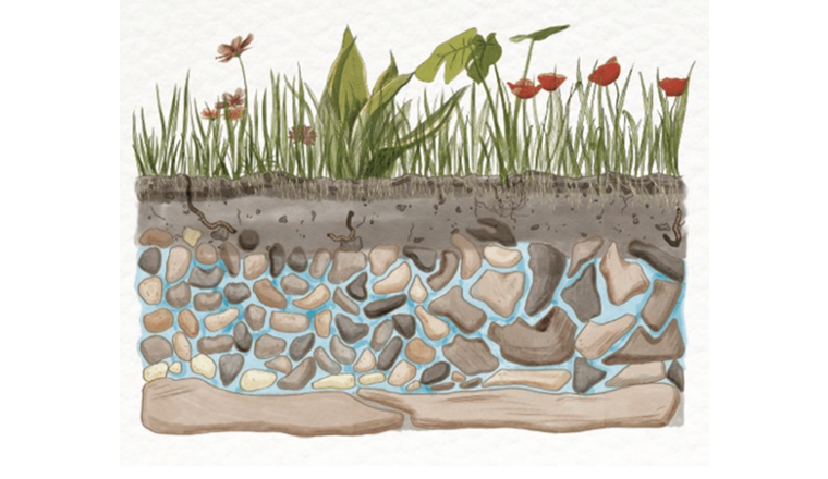 worldwaterday.org