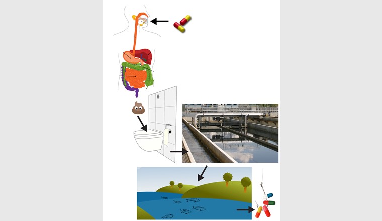 De la prise de médicament à la pollution des eaux de surface. (c) plateforme Qualité de l’eau du VSA