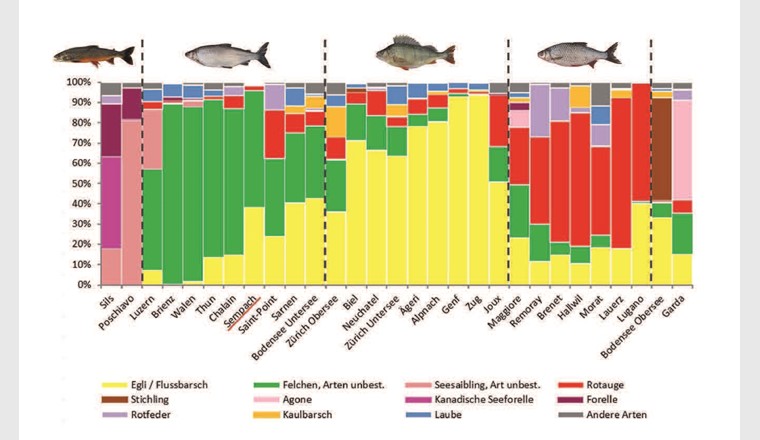 Fig. 9 Vergleich der relativen Häufigkeit einzelner Arten [14], die in den verschiedenen Seen in Vertikalnetzen gefangen wurden. Die Daten sind volumenkorrigiert [15], um zwischen den Seen besser vergleichen zu können.