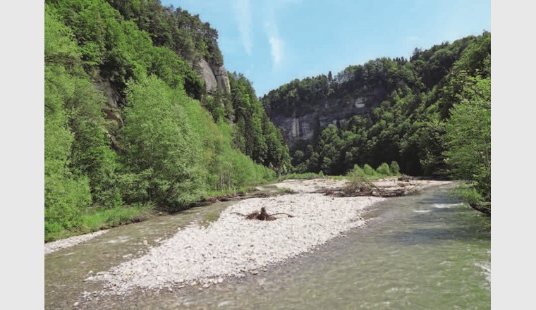 Eine der 64 Gewässerperlen: Die Sense im Naturpark Gantrisch, Kanton Bern. 
(©Wikimedia Commons, René Edward Knupfer-Müller)