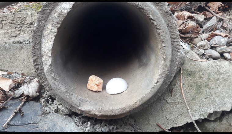 Fig. 6 Dispositifs de détection des écoulements d’eau dans les exutoires d’eaux claires: une demi-sphère en polystyrène expansé et une éponge compressée.