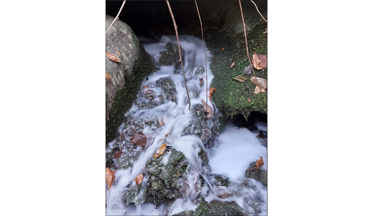 Fig. 3 Exemple de pollutions aux eaux usées pouvant être attesté lors de la visite par observation organo­leptique (matière fécale, lessive).