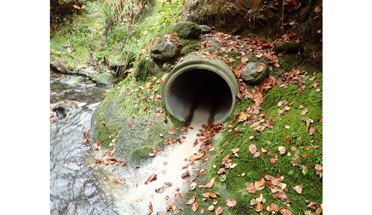 Fig. 3 Exemple de pollutions aux eaux usées pouvant être attesté lors de la visite par observation organo­leptique (matière fécale, lessive).