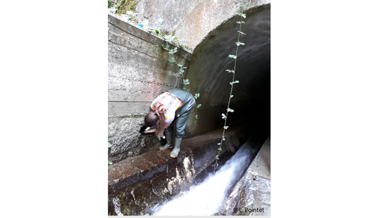 Fig. 5 Prélèvements d’eau ponctuels dans les exutoires d’eaux claires avec des écoulements en continu par temps sec.