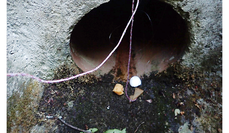 Fig. 7 Écoulement détecté lors d’une période météorologique sèche avec les dispositifs de détection, indiquant une potentielle pollution aux eaux usées.