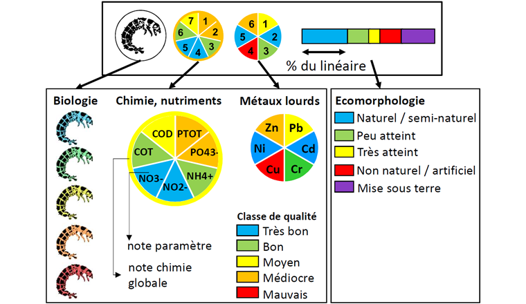 Légende du tableau 1.
