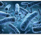 Die Legionellose, auch als Legionärskrankheit bezeichnet, ist eine schwere Lungenentzündung, die durch bestimmte Bakterien der Gattung Legionella ausgelöst wird. (Bild: © peterschreibermedia/123RF.com)