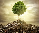 Chemische Substanzen und gefährliche Abfälle können für Mensch, Umwelt und das Klima Risiken beinhalten. (Bild: ©lassedesignen / adobestock) Chemische Substanzen und gefährliche Abfälle können für Mensch, Umwelt und das Klima Risiken beinhalten. (Bild: ©lassedesignen / adobestock)