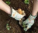 Zehn Prozent aller verkauften Pestizide würden von Hobbygärtnerinnen und -gärtnern versprüht (Bild: ©andreaobzerova/adobestock) Zehn Prozent aller verkauften Pestizide würden von Hobbygärtnerinnen und -gärtnern versprüht (Bild: ©andreaobzerova/adobestock)