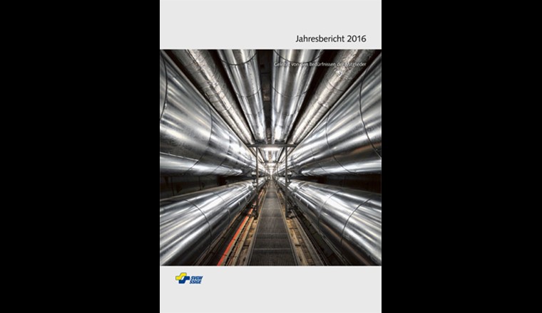 Rapport annuel 2016