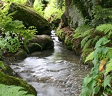 Genau mit Blick auf das immer wieder austrocknende Bachbett startete der Kanton Aargau Anfang Juni zwischen Frick und dem Rhein das Projekt «Sissle 2030». (Bild: ©s.zuerlein/adobestock Genau mit Blick auf das immer wieder austrocknende Bachbett startete der Kanton Aargau Anfang Juni zwischen Frick und dem Rhein das Projekt «Sissle 2030». (Bild: ©s.zuerlein/adobestock