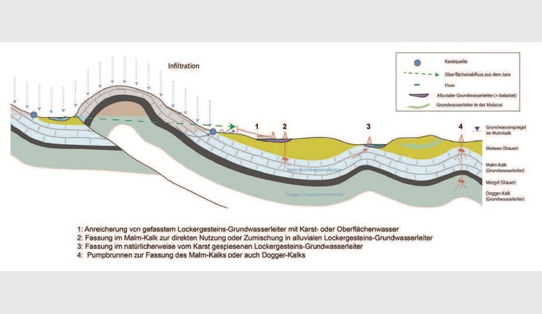 Fig. 1 Skizze der hydrogeologischen Situation an der Grenze zwischen Jura und Mittelland mit Infiltration (Grundwasserneubildung) im Jura und potenzieller Nutzung der Karst-Grundwasserleiter am Jura-Südfuss.