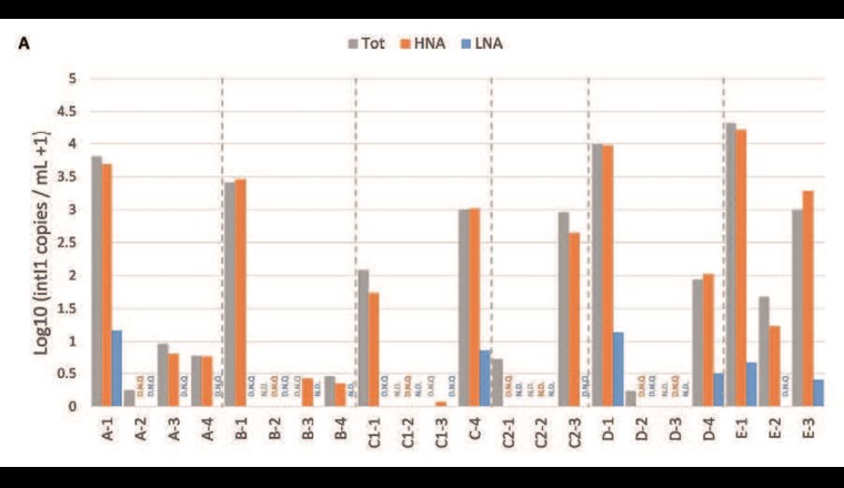 Fig. 3 Häufigkeit (logarithmiert) (A) des Indikatorgens intI1 in den Wasserproben und ihren Zellfraktionen.
Tot: Gesamtfraktion (0,2-µm-Filter direkt), HNA: HNA-Fraktion (0,45-µm-Filter direkt), LNA: LNA-Fraktion (0,2-µm-Filter nach 0,45-µm-Filtration). N.D: nicht detektiert, D.N.Q: detektiert, nicht quantifizierbar