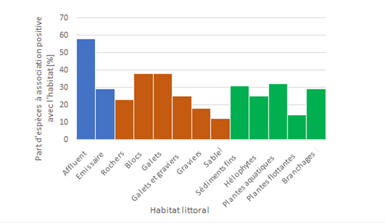 Fig. 5 Darstellung des Anteils der Fischarten, die im Durchschnitt aller Seen eine positive Assoziation zu den einzelnen Uferhabitaten aufweisen. Ein hoher Wert zeigt an, dass besonders viele Arten eine positive Assoziation zu diesem Habitat aufweisen. Ein niedriger Wert zeigt an, dass weniger Fischarten diesen Lebensraum bevorzugen (Grafik erstellt anhand der Daten der Tabelle 10 aus [1]).