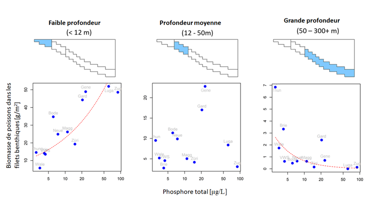 Fig. 8 Relation entre la biomasse des poissons capturés dans les filets maillants benthiques et la teneur en nutriments des lacs. Cette relation est représentée pour trois zones de profondeur des lacs étudiés. Les corrélations qui suivent une ligne en pointillées rouge sont significatives (p<0.05).