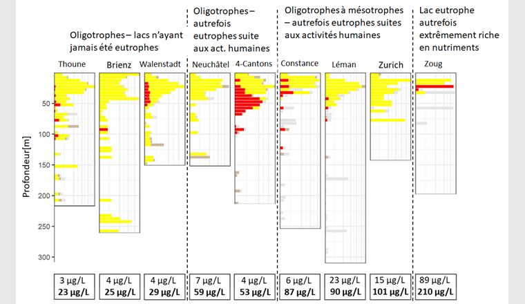 Fig. 8 Zusammenhang zwischen in benthischen Kiemennetzen gefangener Fischbiomasse und dem Nährstoffgehalt der Seen. Der Zusammenhang ist dargestellt für drei Tiefenbereiche der untersuchten Gewässer. Die Zusammenhänge, die eine rote gestrichelte Regressionslinie aufweisen, sind signifikant (p < 0,05).