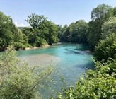 Das Grundwasser reagiert langsamer auf die Trockenheit als die Oberflächengewässer. (Bild: ©Edith Oosenbrug,BAFU) Das Grundwasser reagiert langsamer auf die Trockenheit als die Oberflächengewässer. (Bild: ©Edith Oosenbrug,BAFU)