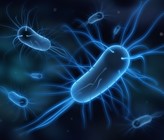 Das Enzym mit der Bezeichnung HDCR bildet aus gasförmigem Wasserstoff (Hâ‚‚) und Kohlendioxid (COâ‚‚) Ameisensäure. (Bild: ©p.schreiber.media/adobestock). Das Enzym mit der Bezeichnung HDCR bildet aus gasförmigem Wasserstoff (Hâ‚‚) und Kohlendioxid (COâ‚‚) Ameisensäure. (Bild: ©p.schreiber.media/adobestock).