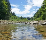 Le 31 août 2022, la SSIGE organise au Palais des Congrès de Bienne une journée technique au sujet de la protection des ressources. (Photo: ©Schlierner/adobestock) Le 31 août 2022, la SSIGE organise au Palais des Congrès de Bienne une journée technique au sujet de la protection des ressources. (Photo: ©Schlierner/adobestock)