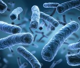 Legionellen sind Bakterien, die im Wasser leben und in sehr vielen Wasserleitungen, Duschköpfen, lüftungstechnischen Anlagen, Boilern und Kühltürmen zu finden sind. (Bild: ©peterschreibermedia/123RF.com) Legionellen sind Bakterien, die im Wasser leben und in sehr vielen Wasserleitungen, Duschköpfen, lüftungstechnischen Anlagen, Boilern und Kühltürmen zu finden sind. (Bild: ©peterschreibermedia/123RF.com)