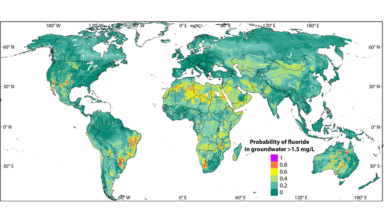 Die Karte zeigt flächendeckend, mit welcher Wahrscheinlichkeit die Fluoridkonzentration im Grundwasser über dem von der Weltorganisation für Gesundheit festgelegten Grenzwert liegt. Praktisch ganz Afrika und grosse Teile Asiens weisen eine potenziell gefährliche Fluoridbelastung auf. Eine interaktive Version der Karte ist auf der GIS-Plattform gapmaps.org verfügbar. (Bild: ©gapmaps.org)